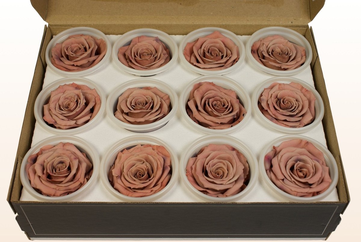 Nude Color Roses Preserved roses - Nude – Sweet Colours