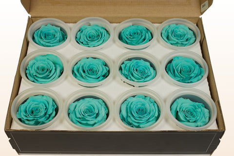 Size S, 12 roses