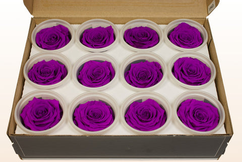 Size S, 12 roses