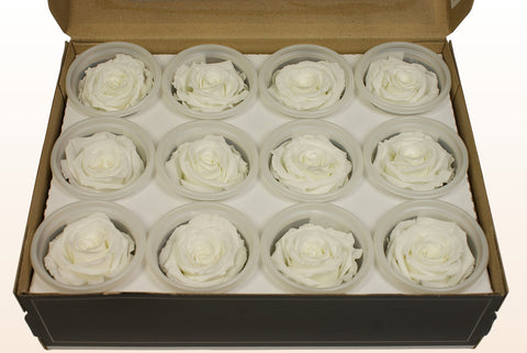 Size S, 12 roses
