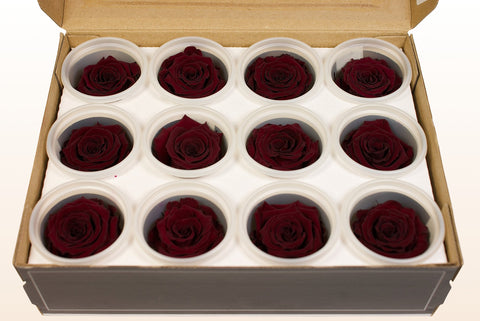 Size S, 12 roses