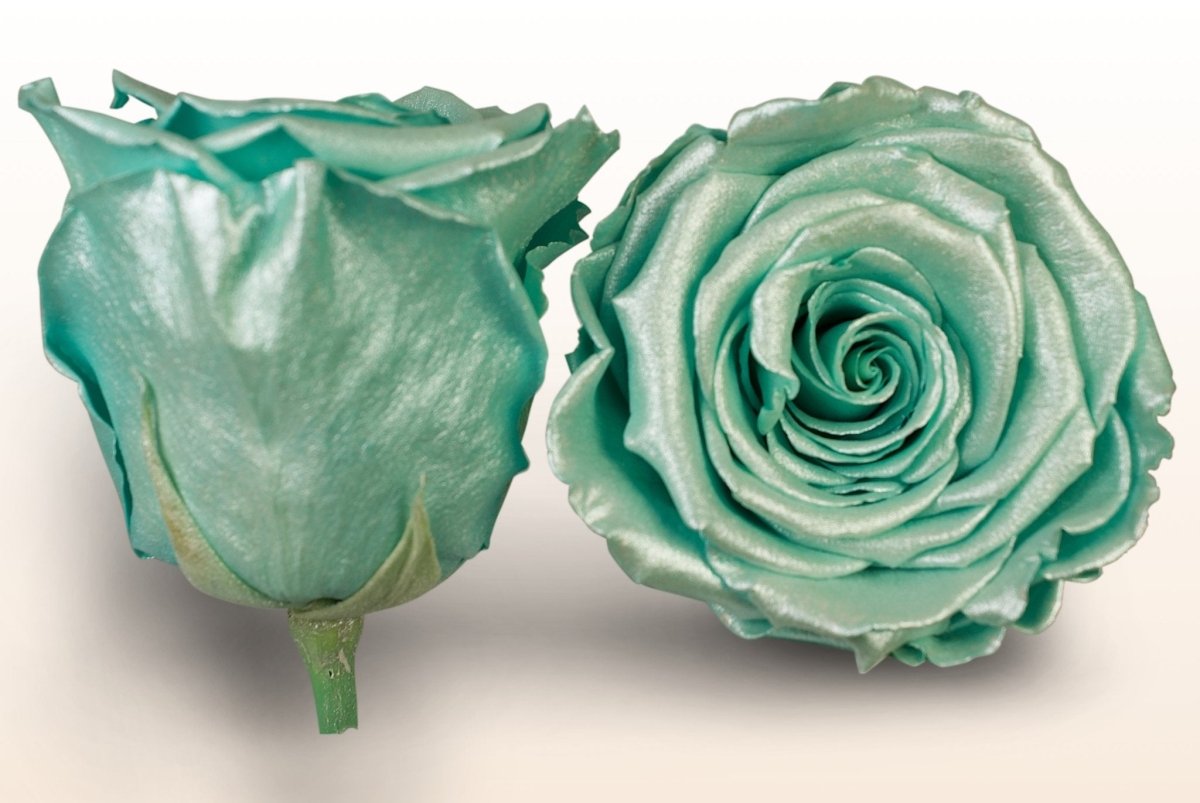Turquoise Ribbon Roses Preserved roses - Satin turquoise – Sweet Colours