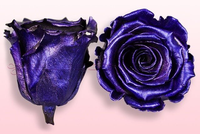 Real Metalic Purple Roses Preserved roses - Metallic purple – Sweet Colours